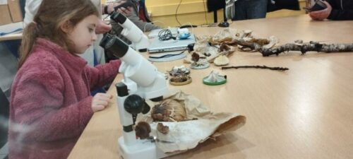 Photos Isabelle Gainche (3)