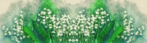 monicore-flower-3318742