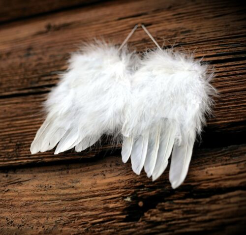 ailes1
